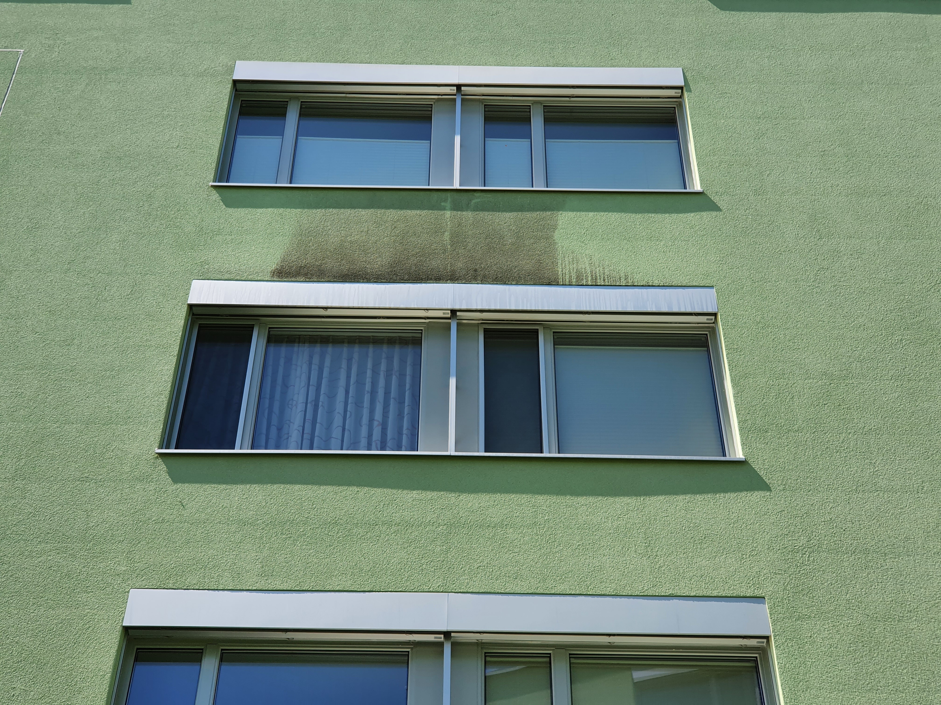 Fassadenreiniger.ch zeigt eine Musterfläche auf grüner Fassade