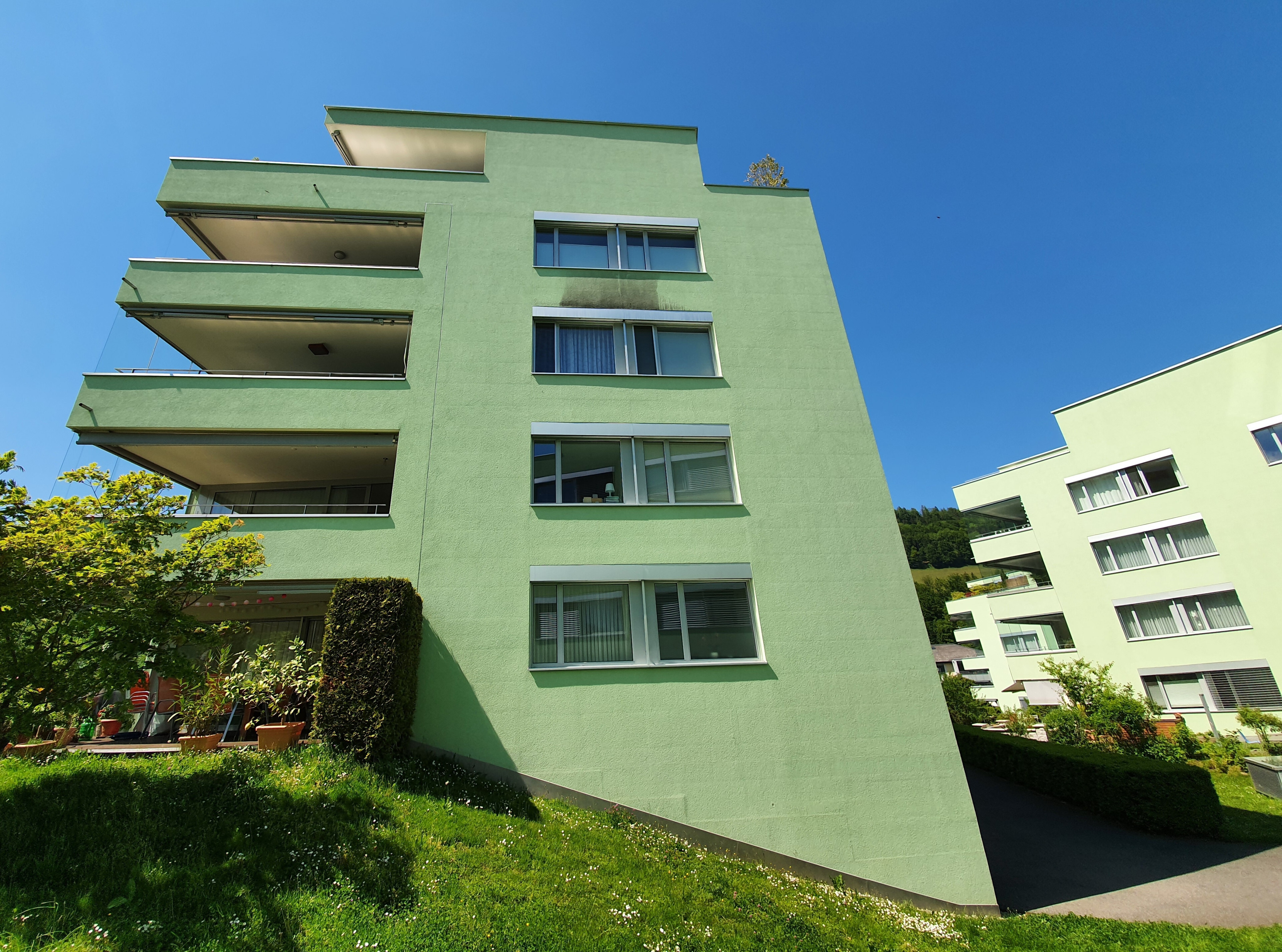 Fassadenreiniger.ch zeigt eine Musterfläche auf grüner Fassade mit ganzer Ansicht.